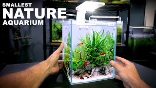 Aquascape Tutorial TINY 26 gal NATURE Aquarium How To Step By Step Nano Tank Guide [upl. by Ynot]