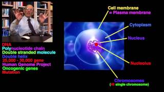 Xeroderma pigmentosum amp Skin Colour Ep15 [upl. by Nerad]