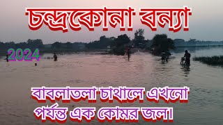 চন্দ্রকোনা বন্যা বন্যা।বাবলাতলা চাথালে এখনোপর্যন্ত এক কোমর জল।ghatal Bonnaghatal Bonna 2024 [upl. by Gesner]