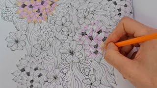 Coloring flowers of positively Zen by Alligator products [upl. by Alexine336]