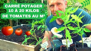 CARRÉ POTAGER ► RÉUSSIR SES TOMATES Planter nourrir sol paillage ombrage arrosage variétés [upl. by Tlaw]