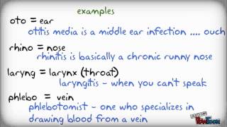 Medical Terminology the easy way [upl. by Rozanne]