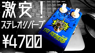 価格破壊！激安ステレオリバーブ買ってみた【Biyang RV10 TRI REVERB】 [upl. by Yurt]