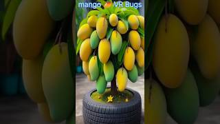 🥭 mango plant ☘️mongoshorts short shortvideo youtubeshorts [upl. by Husain340]