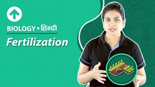 What is DAP Fertilizer and How to use DAP Fertilizer in Plants Hindi [upl. by O'Meara276]