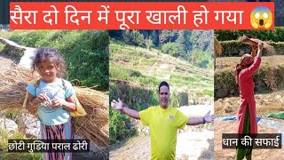 पूरा सैरा दो दिन में खाली हो गयासभी लोगों ने पूरी मंढाई कर लीuttfarmingvlog 😍 [upl. by Schlicher553]