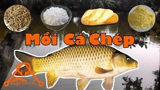 Cách Làm Mồi Câu Cá CHÉP Ao Sông Hồ Đơn Giản Hiệu Quả Nhất 𝓒â𝓾 𝓒á 𝓔𝓭𝓾 [upl. by Adar]