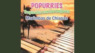 Popurri De Cumbias [upl. by Adeys]