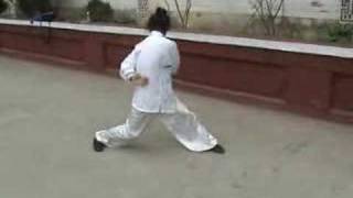 a kung fu masters amazing exercise [upl. by Aniger]