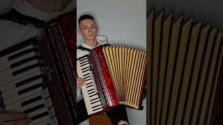 Hera koka hasz  AKORDEON accordion akordeon hit [upl. by Yancy829]