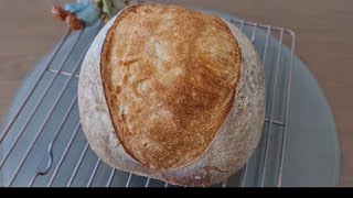 Ginger as Bread Enhancer to Sourdough Bread [upl. by Lindie436]