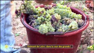 Crémant de Loire  dans la cour des grands   La Quotidienne la suite [upl. by Ameyn]