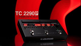 2290 P Dynamic Digital Delay  OFFICIAL VIDEO [upl. by Quickel]