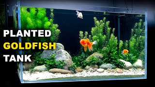 Aquascape Tutorial PLANTED GOLDFISH Aquarium The ORanchu Crew How To Full Step By Step Guide [upl. by Fine]