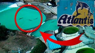 La Triste Historia De Los Delfines del Parque Abandonado Atlantis [upl. by Naol]