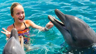 We Play with Dolphins on a Tropical Island Kids Fun TV [upl. by Olva]