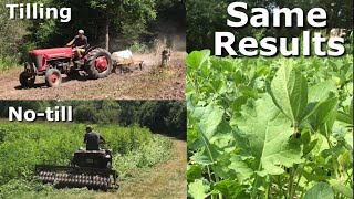 NoTill vs Tilling Brassica Food Plots  Same Results [upl. by Monjan]