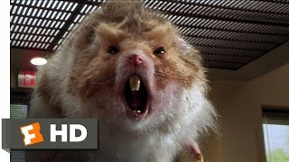 Nutty Professor 2 The Klumps 89 Movie CLIP  Giant Hamster Attack 2000 HD [upl. by Schwab]