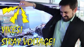 ⚡ How to check stray voltage in an aquarium How I made a shocking discovery [upl. by Anne-Marie936]