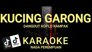 KUCING GARONG  NELLA KHARISMA  KARAOKE HD [upl. by Otcefrep775]