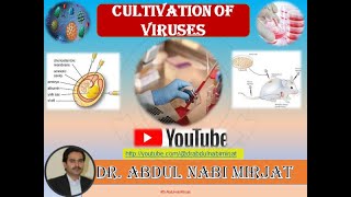 Medical VirologyCultivation of Viruses Lecture08 [upl. by Siana]