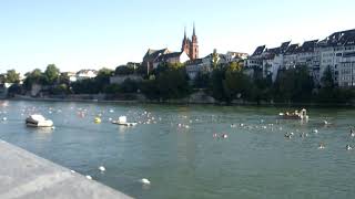 Rhein Schwimmen Basel Switzerland vom Dienstag 13 August 2024 [upl. by Lachlan813]