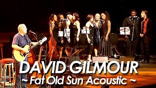 PINK FLOYD：DAVID GILMOUR 『Fat Old Sun Acoustic version』 [upl. by Humberto]