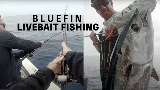 Catching Bluefin Tuna on Live Bait  Private Boat [upl. by Atikal]