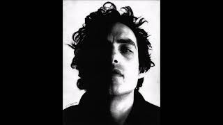 The Wallflowers One Headlight live 2005 half acoustic full band [upl. by Aikemaj361]