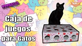 ♥ Tutorial Caja de juegos para Gatos ♥ [upl. by Gawlas]