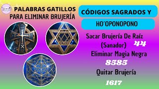 CÓDIGOS SAGRADOS DE AGESTA PARA ELIMINAR BRUJERÍA 44 8585  1617 PALABRAS GATILLOS DE PROTECCIÓN [upl. by Rihana]