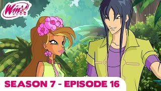 Winx Club  FULL EPISODE  Back To Paradise Bay  Season 7 Episode 16 [upl. by Ymirej474]