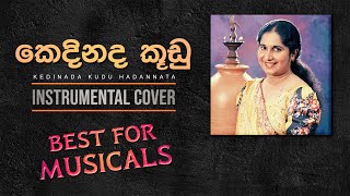 Kedinada Kudu  කෙදිනද කූඩු  Instrumental Cover BEST FOR MUSICALS [upl. by Gunter104]