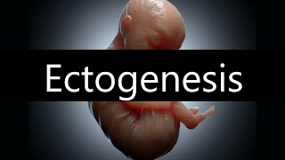 Will Artificial Wombs Save Us From Birth DeclineEctogenesis [upl. by Anaed]