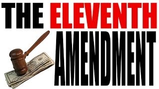 The Eleventh Amendment Explained in 3 Minutes The Constitution for Dummies Series [upl. by Aeneg]