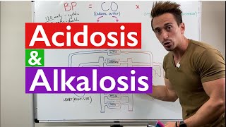 Acidosis and Alkalosis MADE EASY [upl. by Aicelet86]