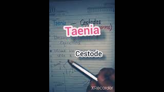 Difference between Taenia saginata and Taenia solium। Taenia saginata vs Taenia solium। Cysticercus [upl. by Asseral]