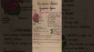 Lymphatic system [upl. by Eppie]