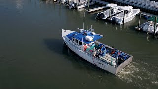 Jersey Shore fishermen catching more black sea bass due to warming waters [upl. by Haon]