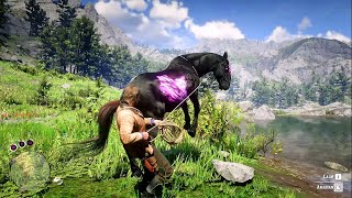 ARTHUR CATCH A BEAUTIFUL CHAROITE HORSE  RDR2  GAMEPLAY [upl. by Uriah238]