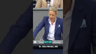 🥶Alice im Bundestag WEIDEL über Merkel MIGRATIONSPOLITIK 🔥 shorts weidel afd [upl. by Andi925]