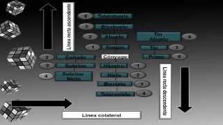 Grados y tipos de parentesco [upl. by Nila]