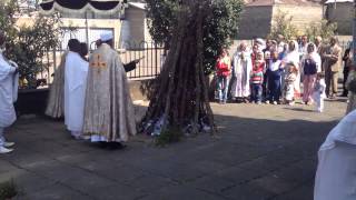 Meskel celebration at Nativity Cathedral Ethiopia [upl. by Dudden]