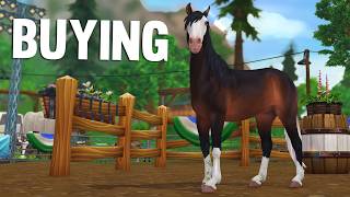 Buying NEW Horses  Ranch Scouting  Star Stable [upl. by Ensign]