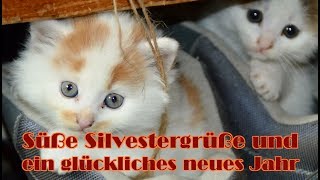 Süße Silvestergrüße [upl. by Anatolio]