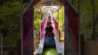 710 GreatGreat fun 😊🤭 Amusement park  Theme park shortvideo tiktokbg [upl. by Lodovico420]