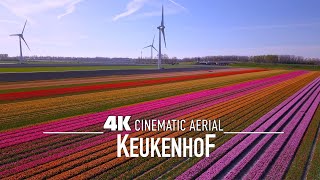 KEUKENHOF 🇳🇱 AMSTERDAM Drone 4K Worlds largest Tulip Fields 2024 [upl. by Kyrstin]