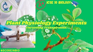 Plant Physiology Experiments Demystifying Transpiration  ICSE 10 Biology [upl. by Matthei]