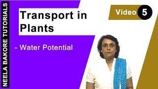 Transport in Plants  NEET  Water potential  Neela Bakore Tutorials [upl. by Eugatnom527]