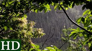 Lluvia HD  Sonido de Lluvia y Sonidos de la Naturaleza  Dormir [upl. by Levenson861]